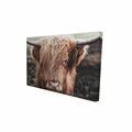 Fondo 12 x 18 in. Desaturated Highland Cow-Print on Canvas FO2776301